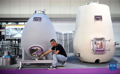 新華全媒 首屆中國(guó) 寧夏 國(guó)際葡萄酒文化旅游博覽會(huì)開(kāi)幕