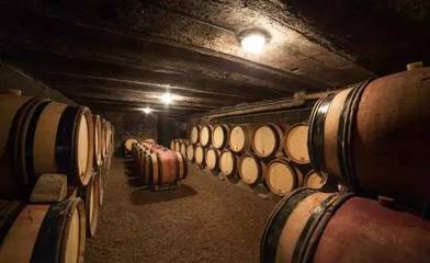 五條葡萄酒小知識,幫你更了解葡萄酒。